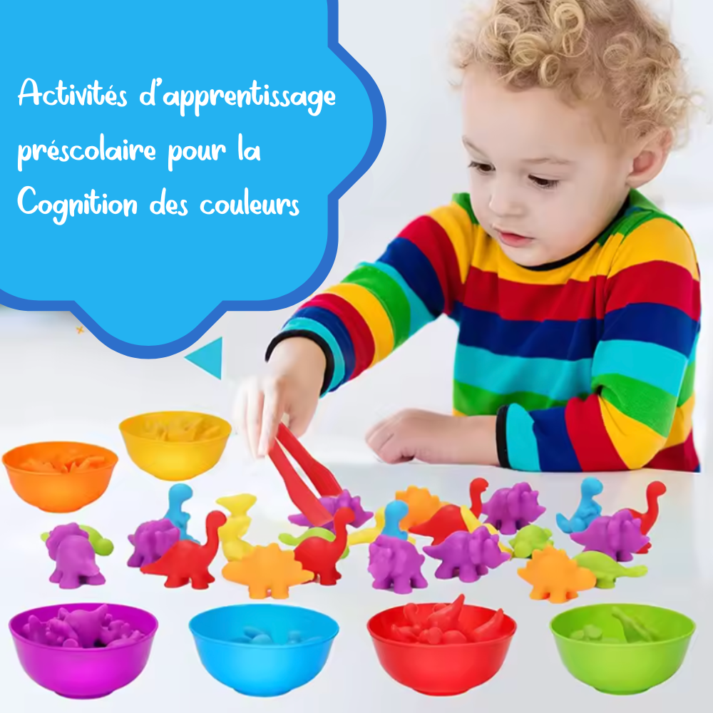 Jouets de tri d'Animaux pour Bébé Montessori (3ans et +)