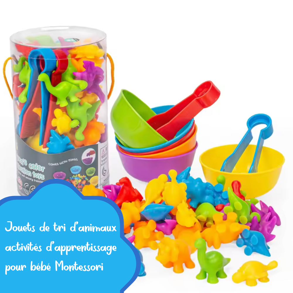 Jouets de tri d'Animaux pour Bébé Montessori (3ans et +)