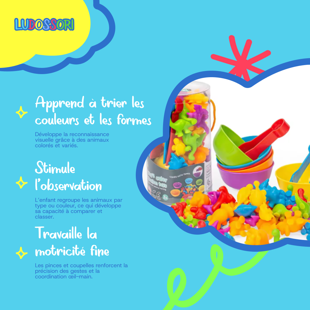 Jouets de tri d'Animaux pour Bébé Montessori (3ans et +)