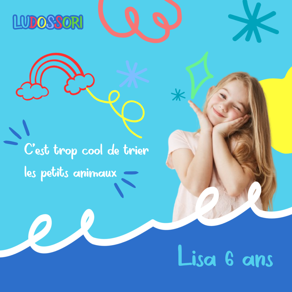 Jouets de tri d'Animaux pour Bébé Montessori (3ans et +)